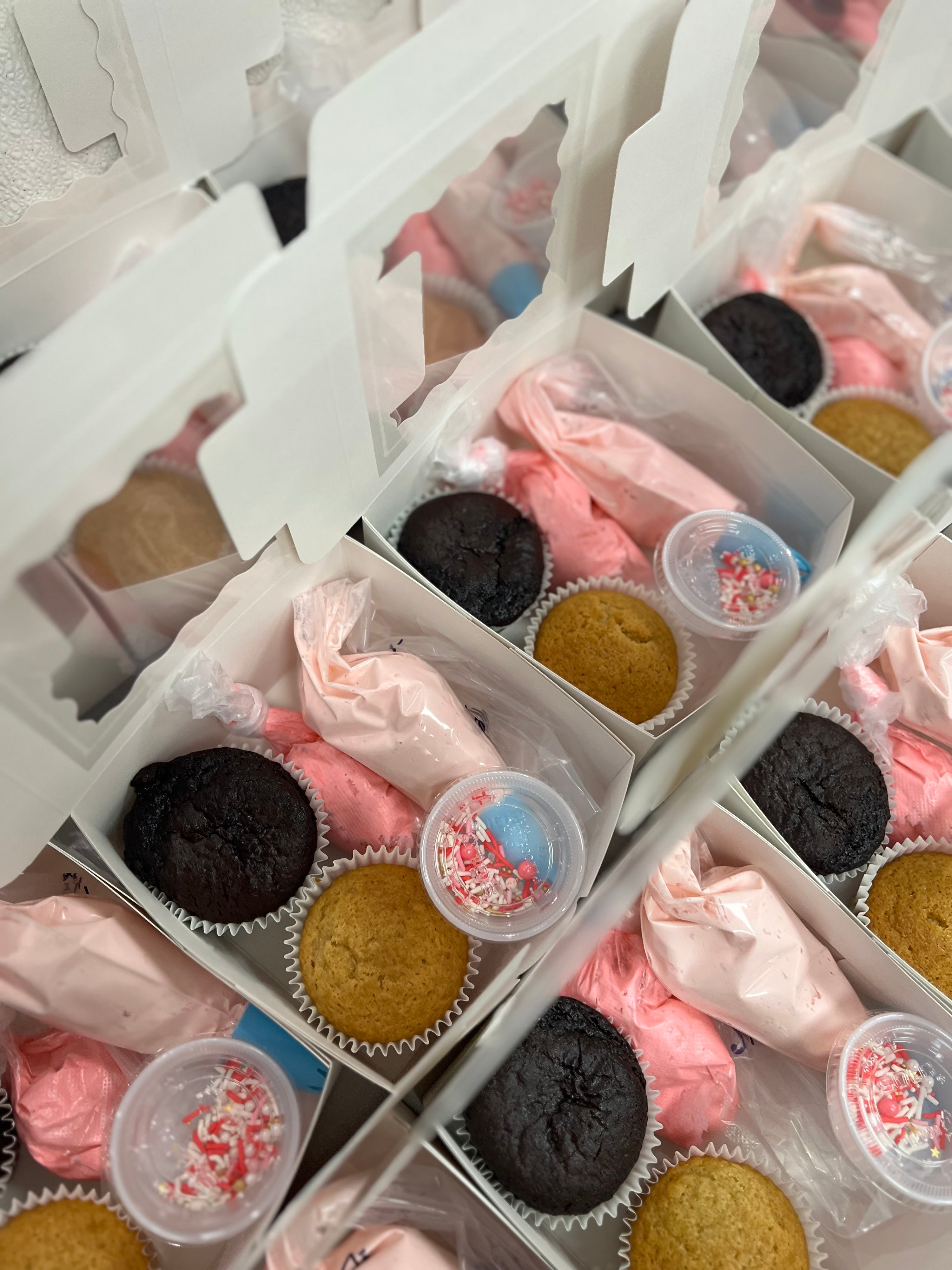 Cupcake Decorating Kit